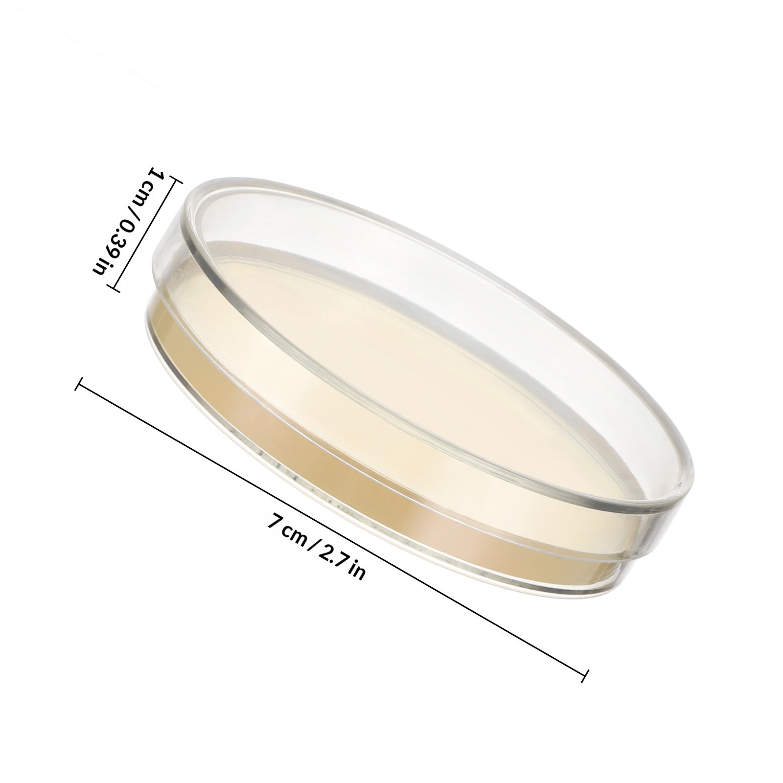 Agar Plates 10pcs Ready to Use - Science Experiment 리뷰 및 가격