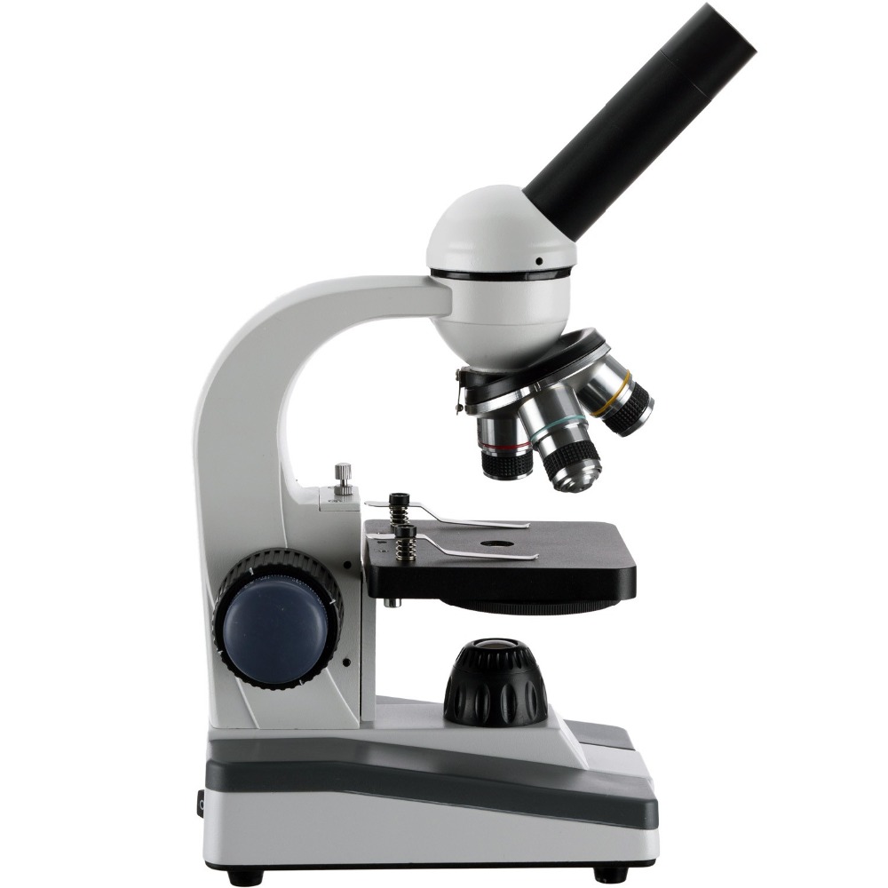 AmScope M150 Series Portable L - Microscope Compound 40X 리뷰 및 가격