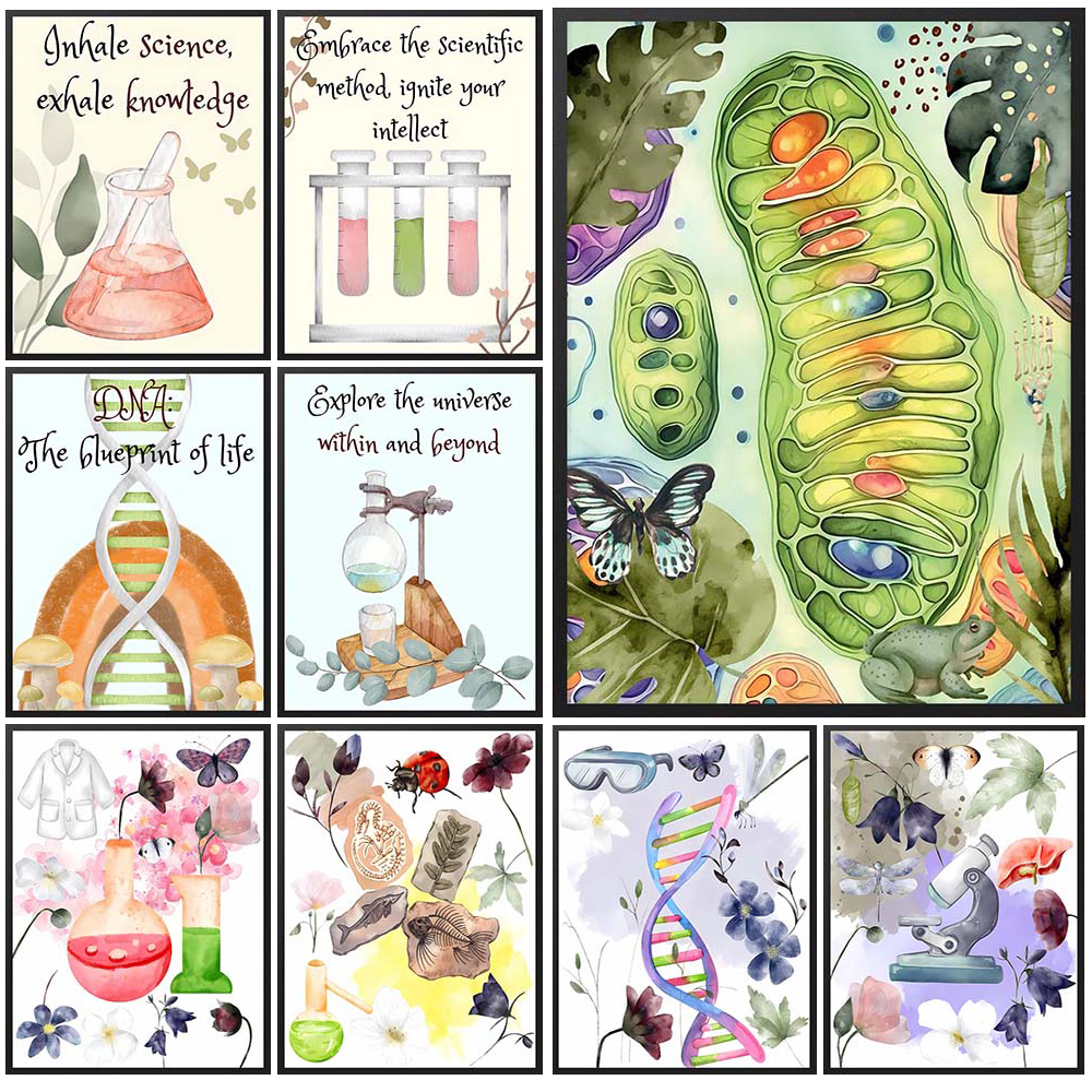 Nursery Cell Biology Science C - Science Nursery 리뷰 및 가격
