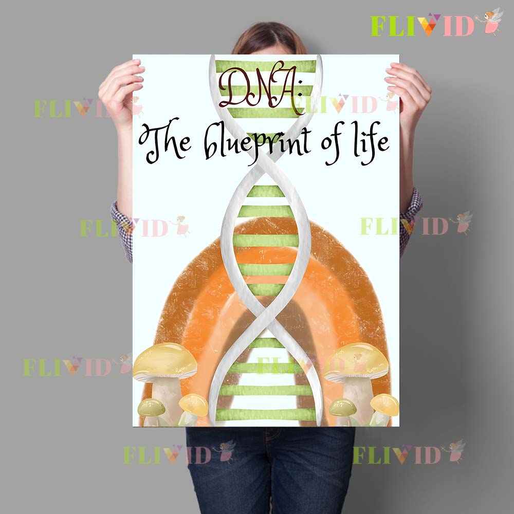 Nursery Cell Biology Science C - Science Nursery 리뷰 및 가격