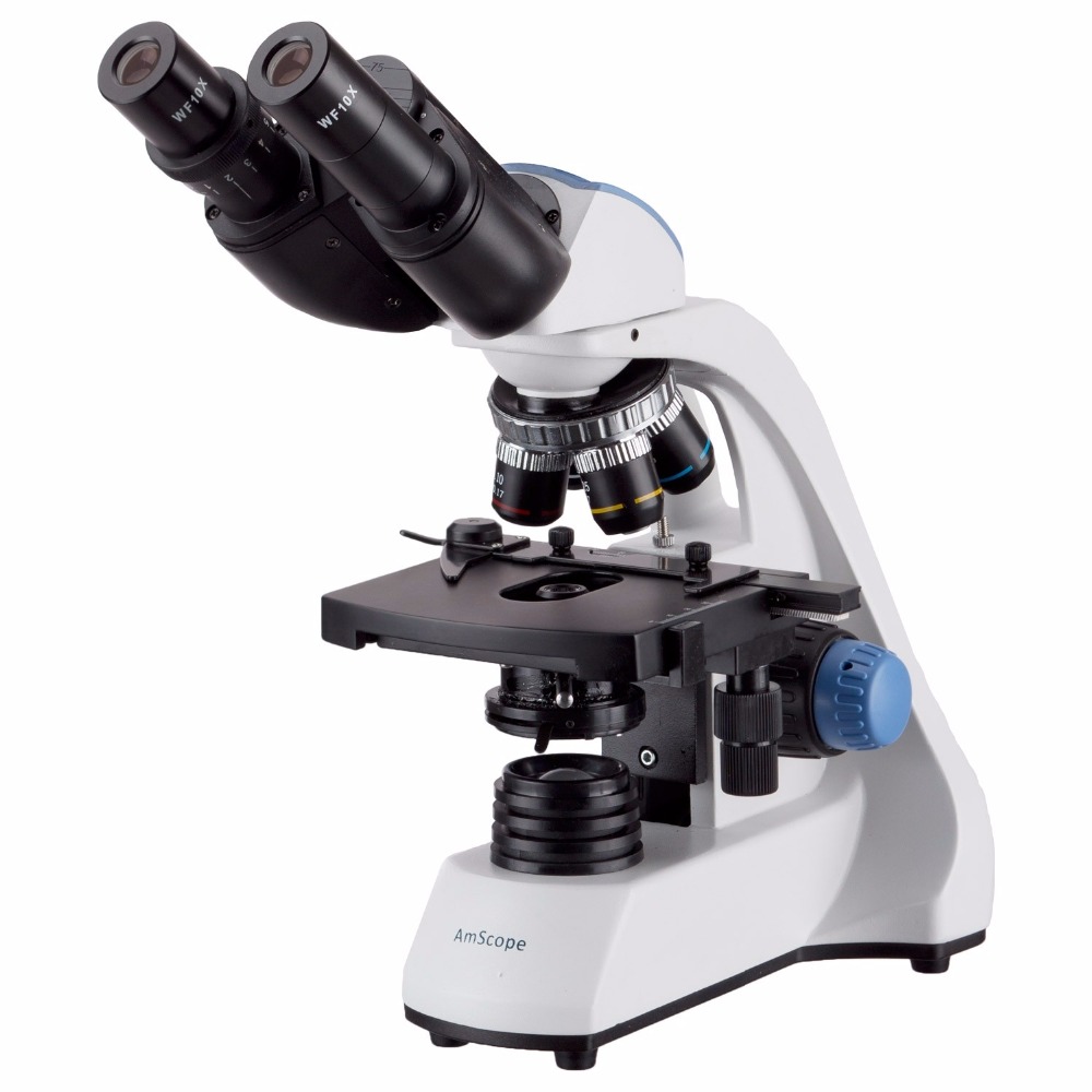 AmScope 40X-2000X LED Binocula - Microscope Compound 40X 리뷰 및 가격