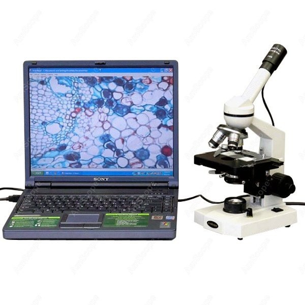 AmScope M600 Series Student Mo - Microscope Compound 40X 리뷰 및 가격