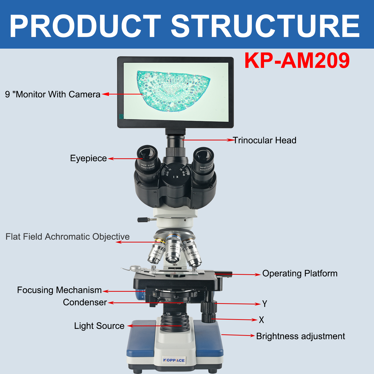 KOPPACE 40X-2500X Electron Com - Microscope Compound 40X 리뷰 및 가격