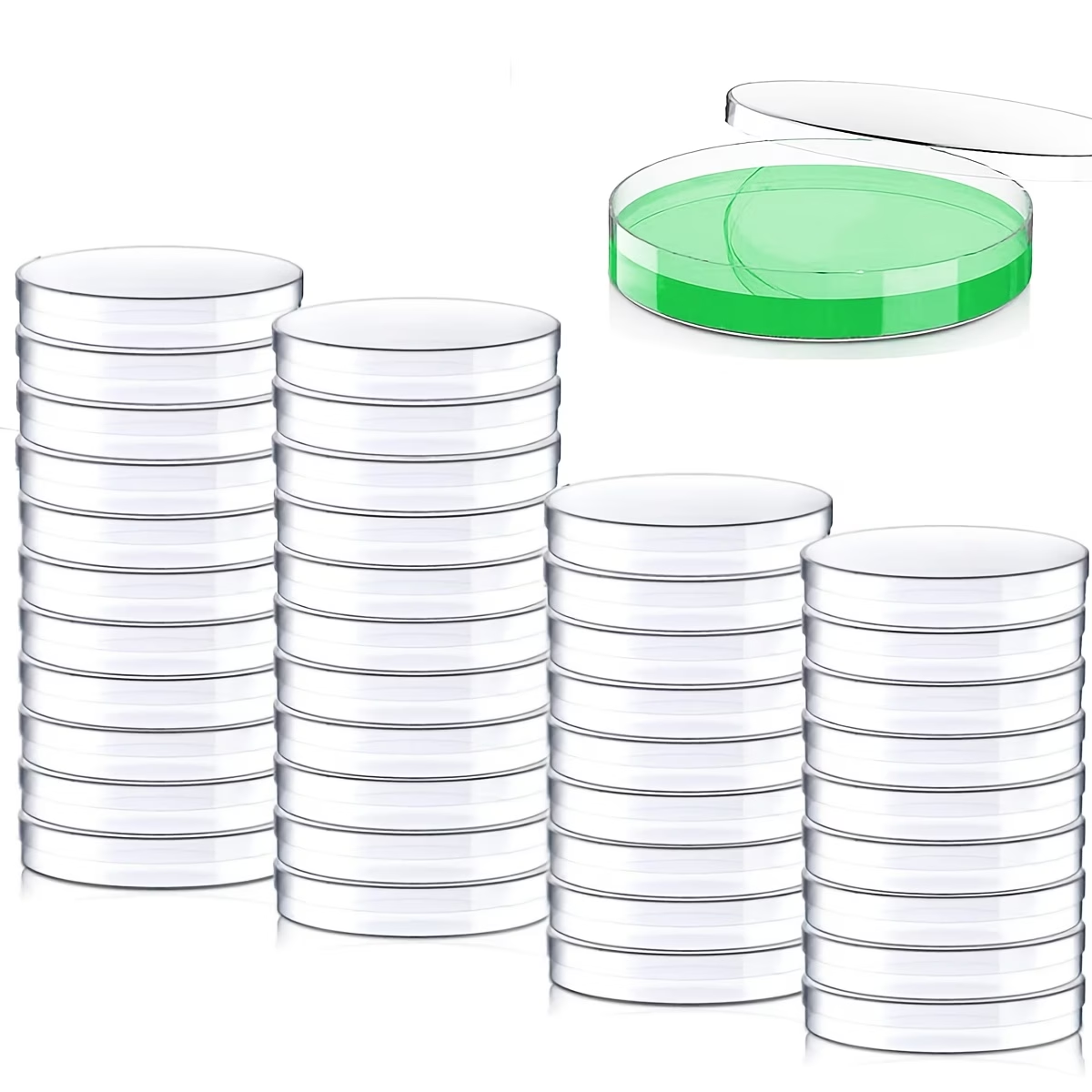 Cost: 20 plastic petri dishes  - Science Experiment 리뷰 및 가격