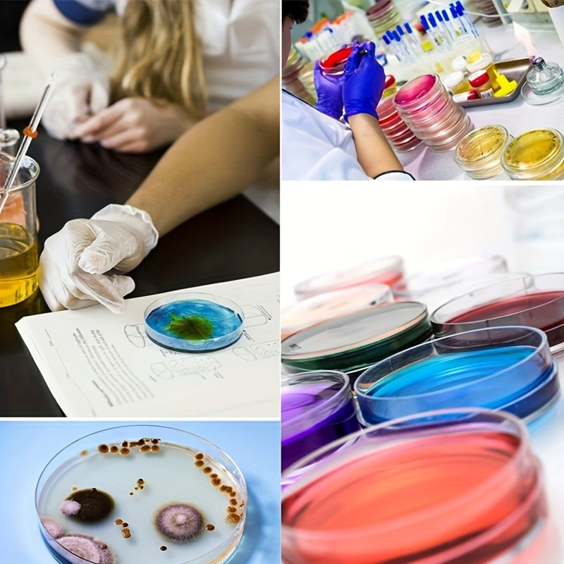 Cost: 20 plastic petri dishes  - Science Experiment 리뷰 및 가격