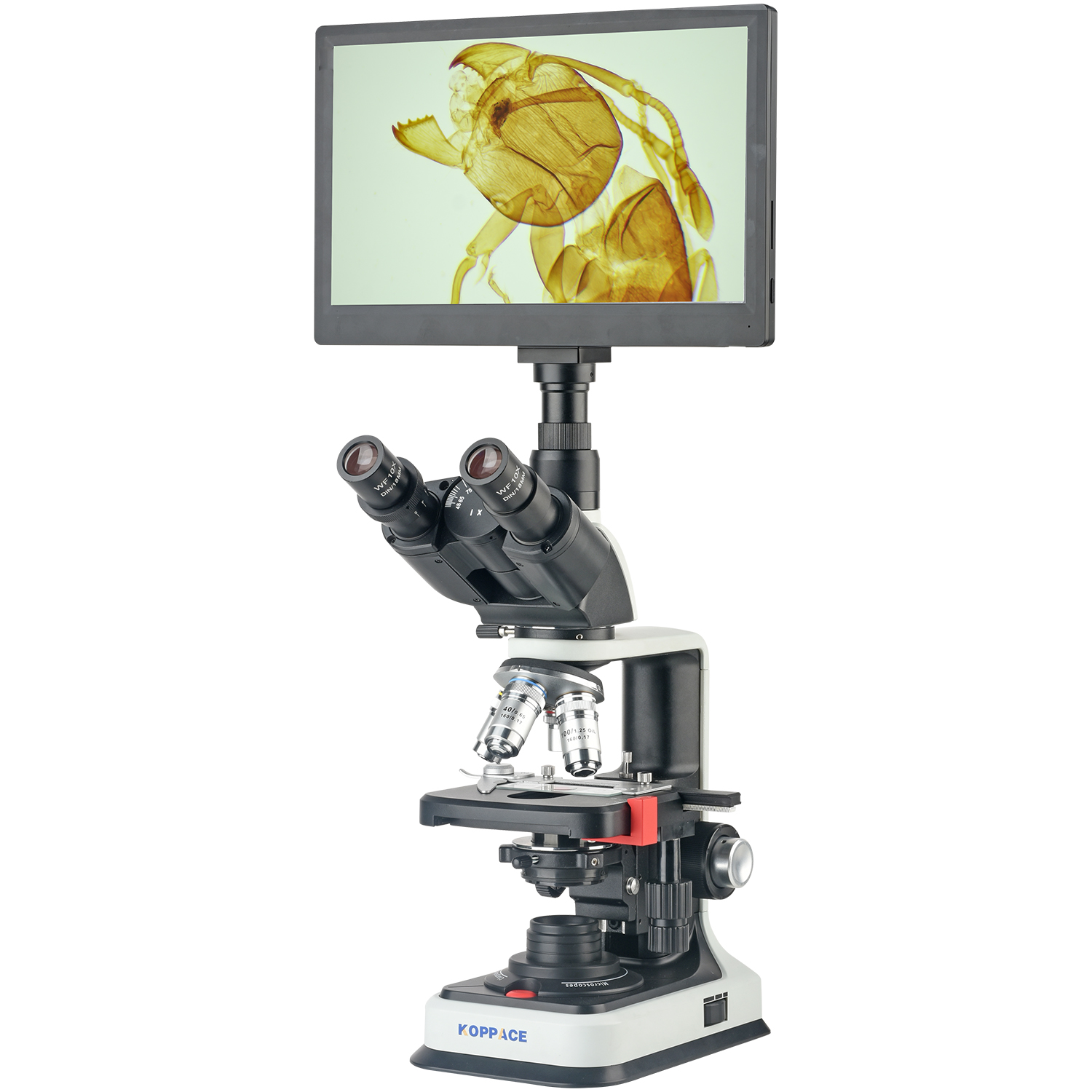 KOPPACE 40X-2500X Electron Com - Microscope Compound 40X 리뷰 및 가격
