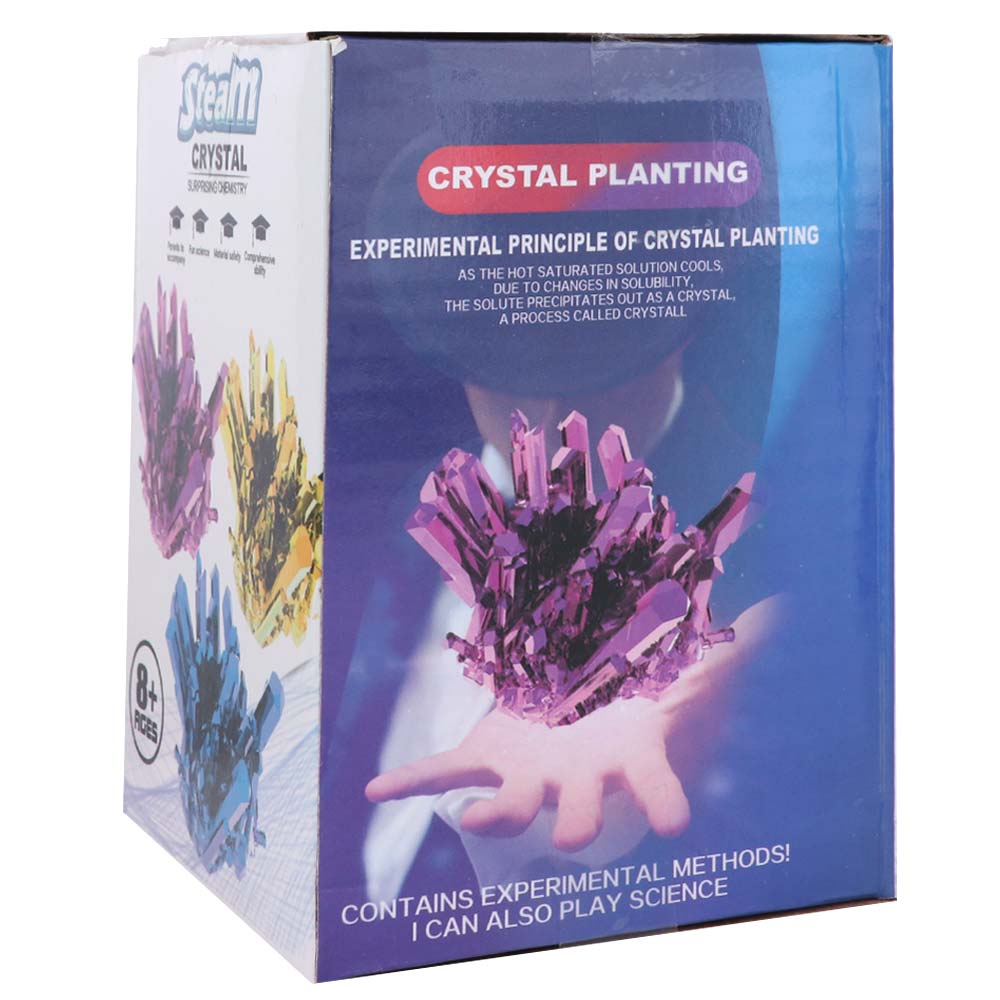 Grow a Crystal Crystal Growing - Science Project Diy 리뷰 및 가격