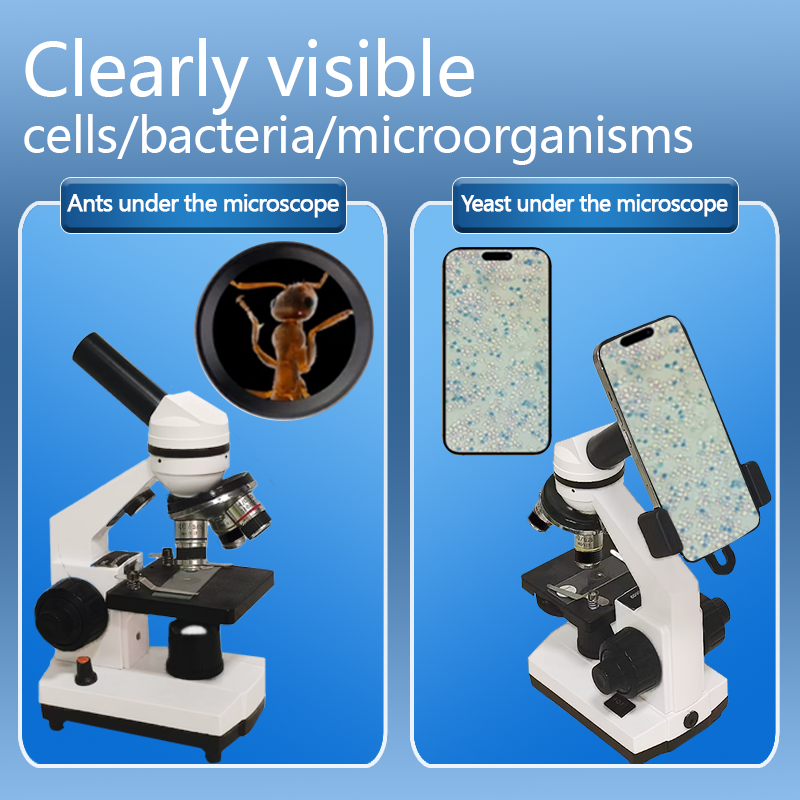 Portable Biological Optical Co - Microscope Compound 40X 리뷰 및 가격