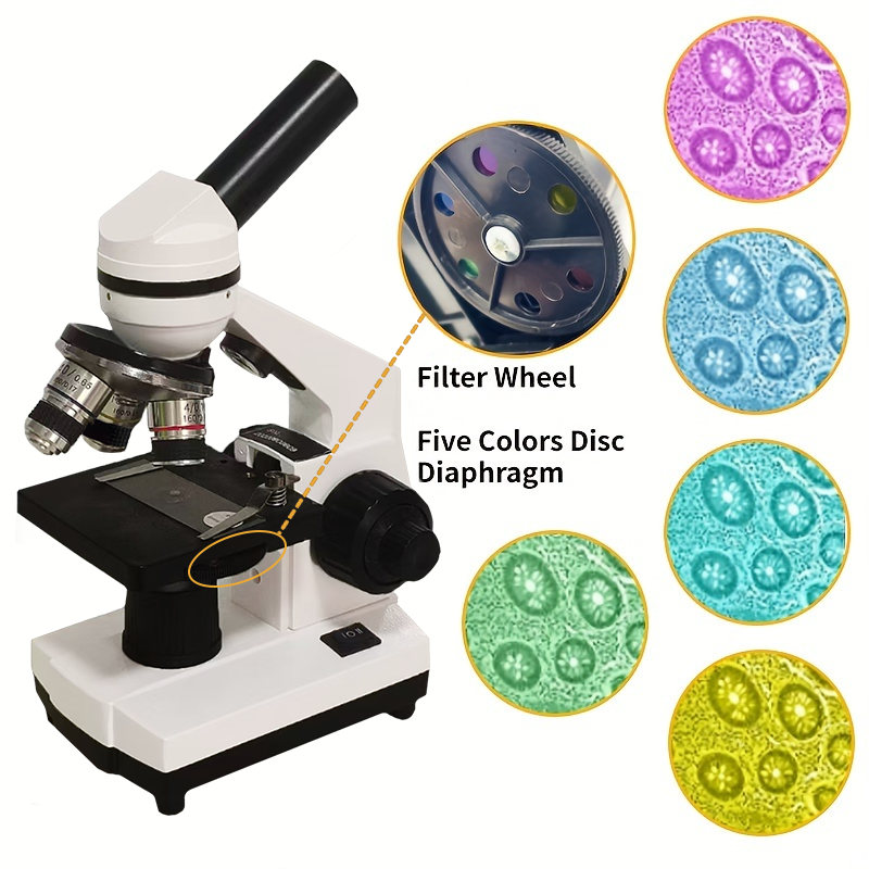 Portable Biological Optical Co - Microscope Compound 40X 리뷰 및 가격