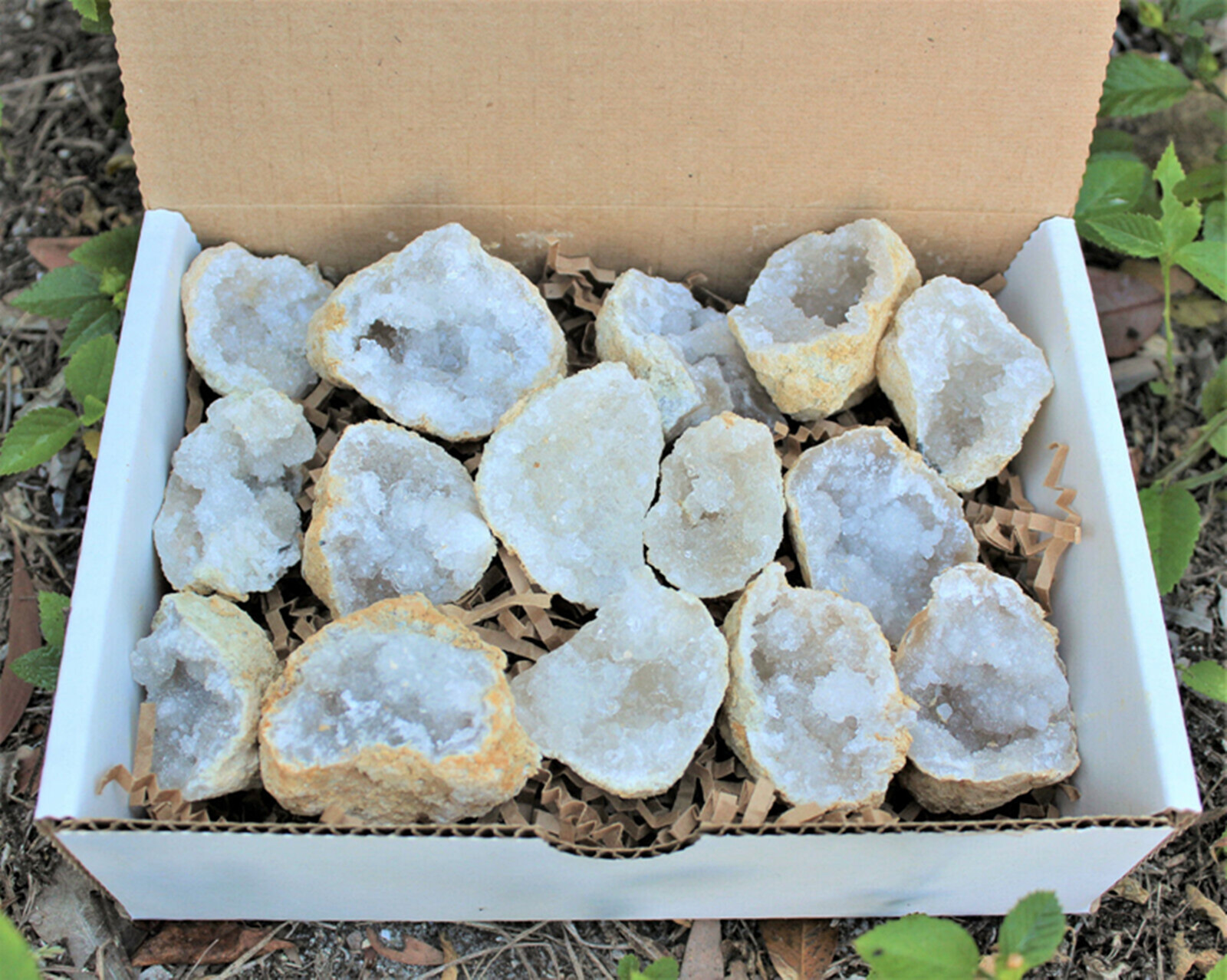 Large Unopened Moroccan Crysta - Geode Crystal Break 리뷰 및 가격