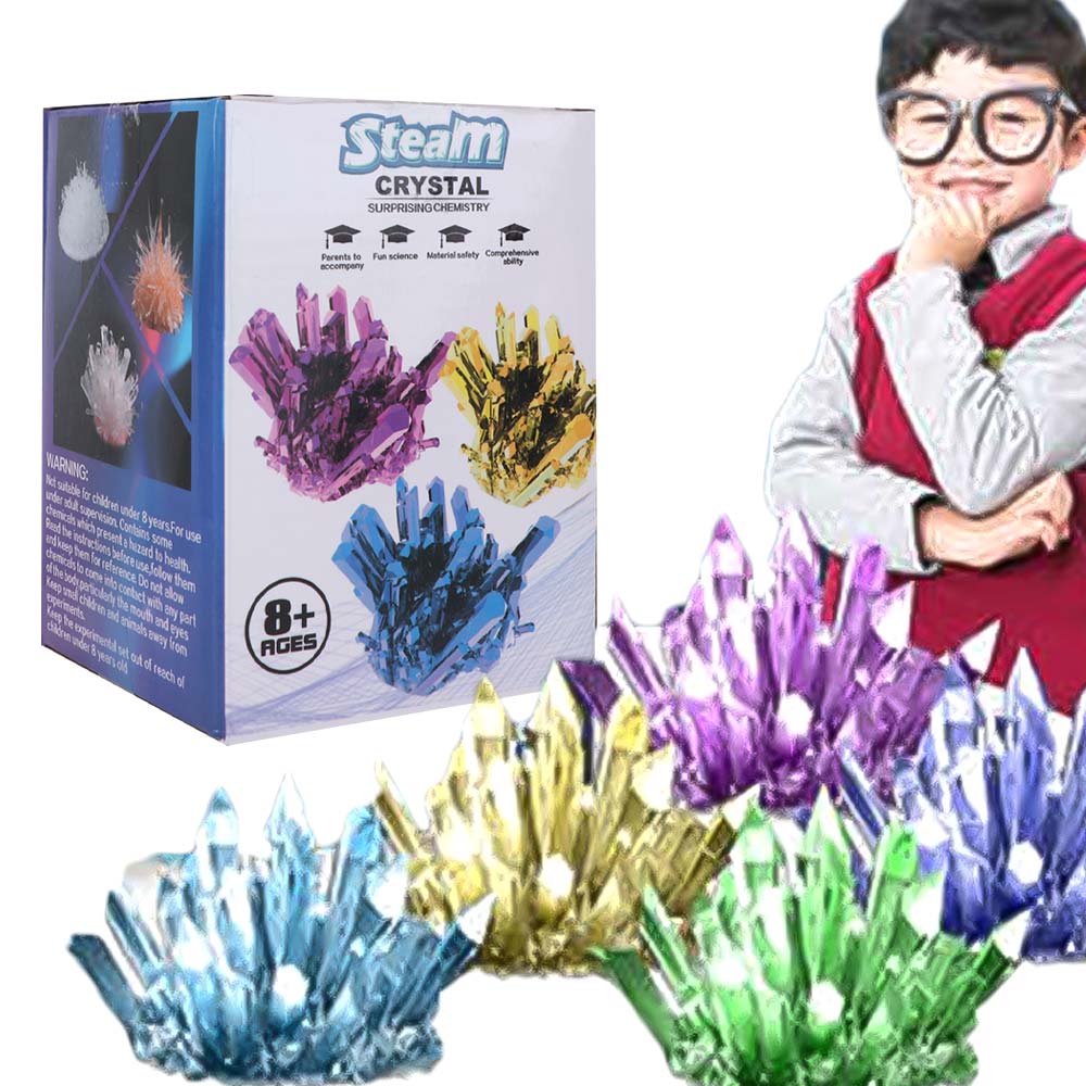 Grow a Crystal Crystal Growing - Science Project Diy 리뷰 및 가격