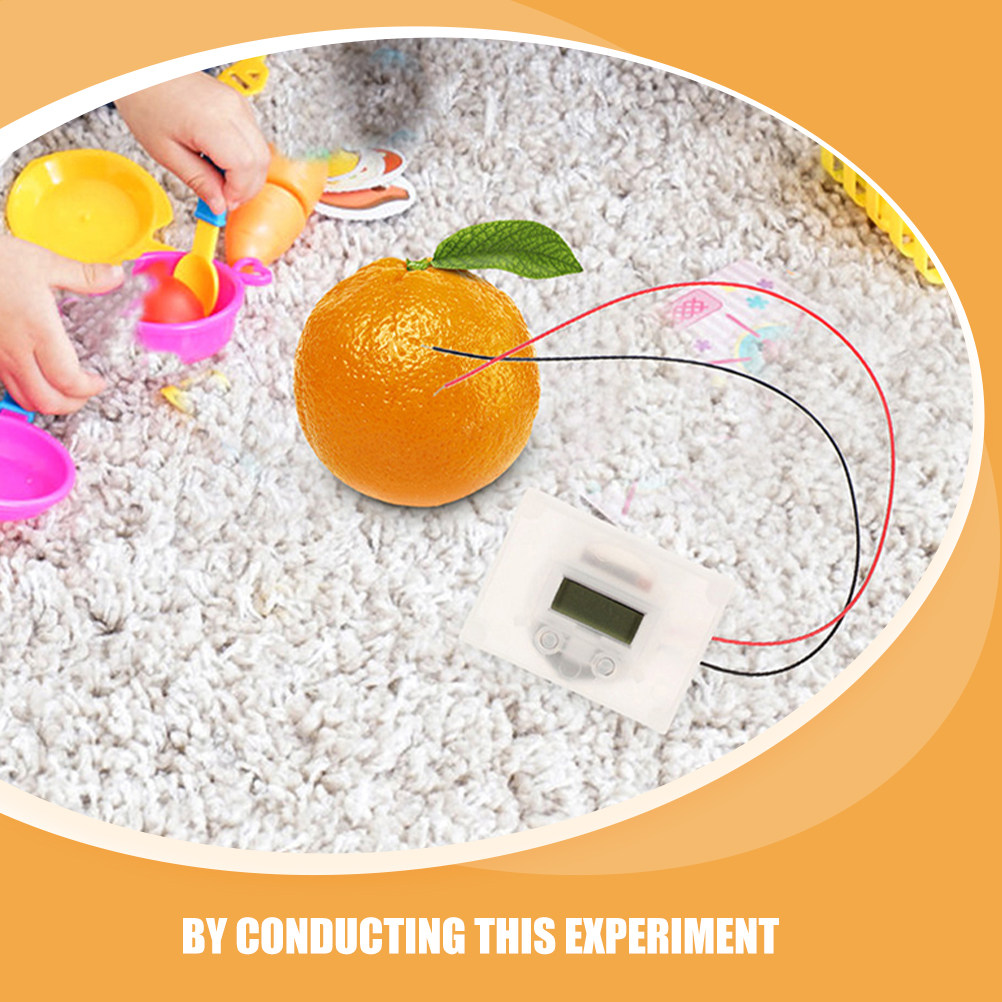 1Set Fruit Battery Science Exp - Science Project Physics 리뷰 및 가격