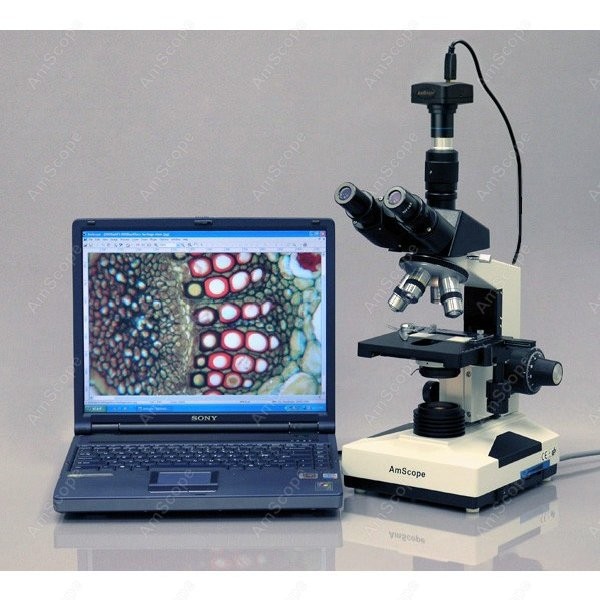 AmScope T490 Series Simul-Foca - Microscope Compound 40X 리뷰 및 가격