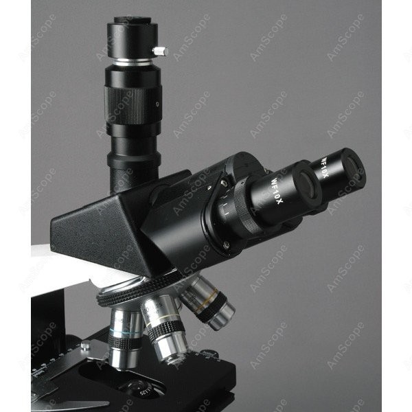 AmScope T490 Series Simul-Foca - Microscope Compound 40X 리뷰 및 가격