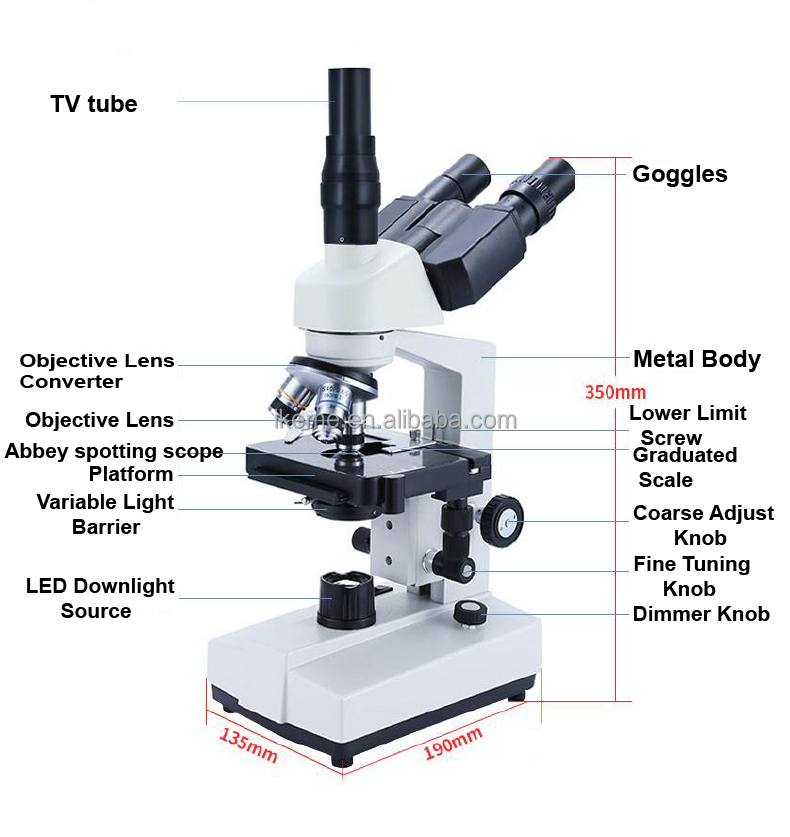 Professional binocular compoun - Microscope Compound 40X 리뷰 및 가격