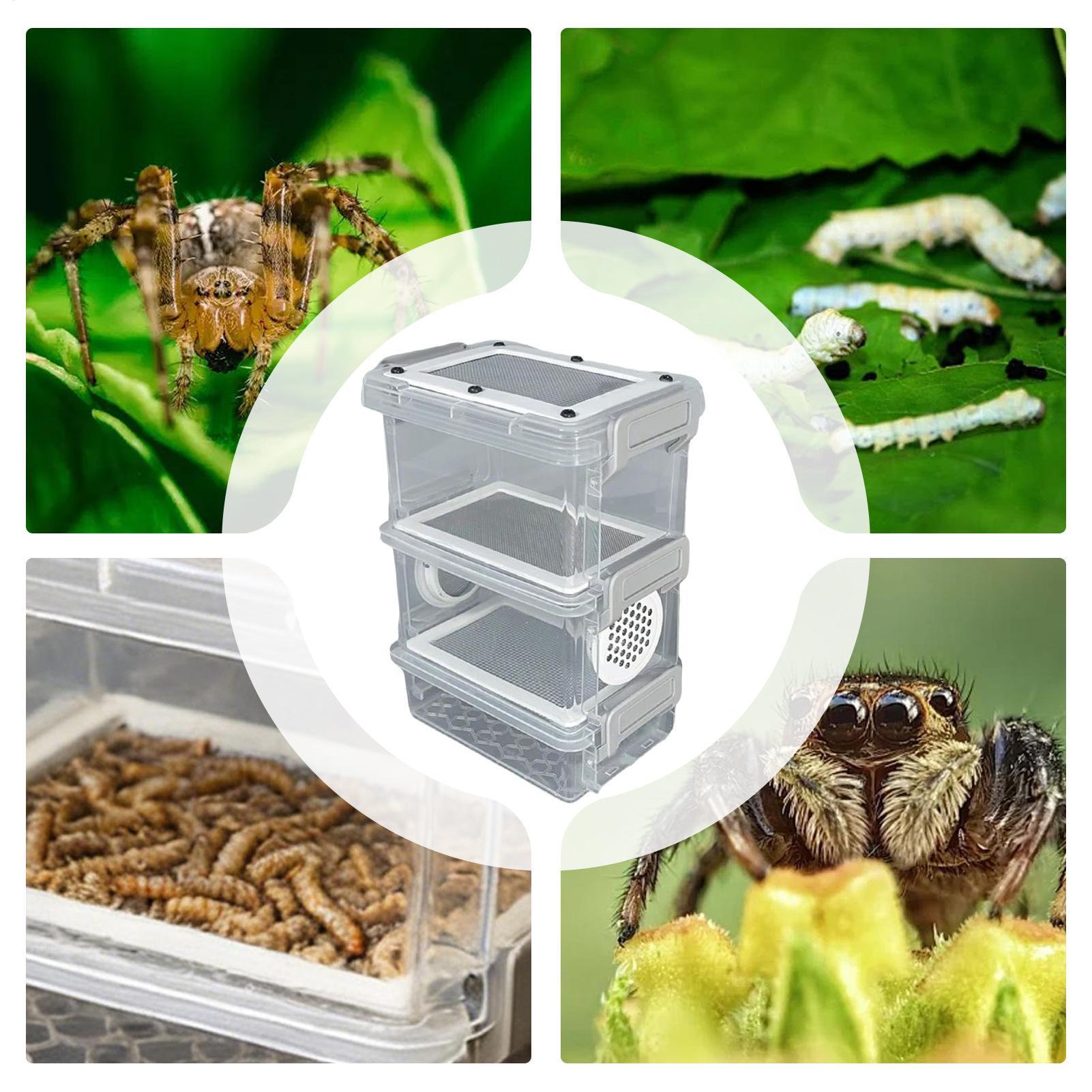 Mealworm Breeding Kit 3-Layer  - Science Hobbyist 리뷰 및 가격