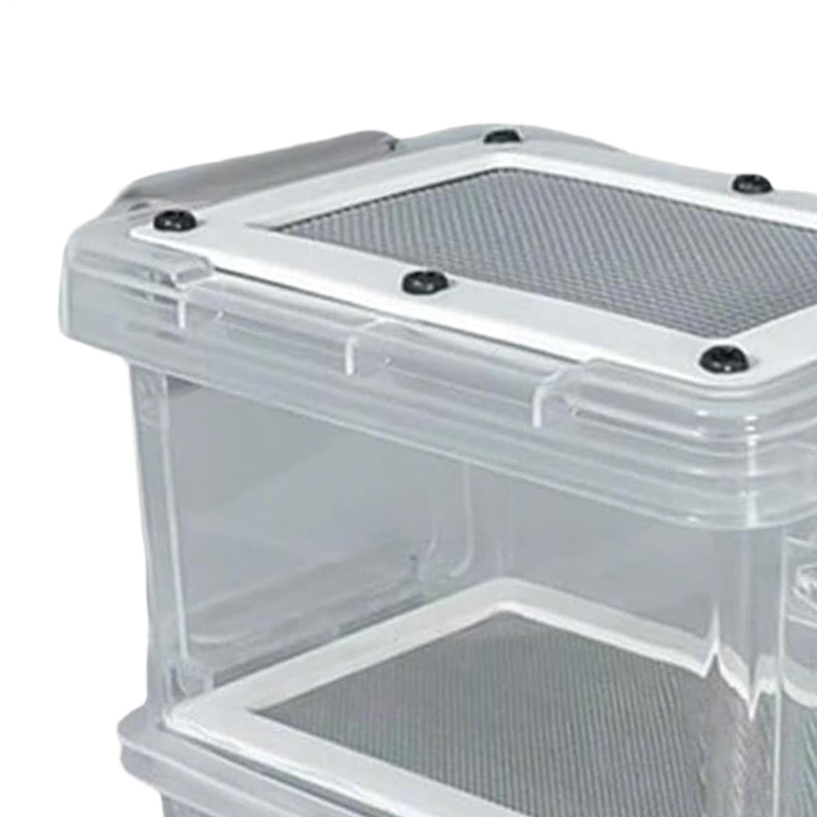 Mealworm Breeding Kit 3-Layer  - Science Hobbyist 리뷰 및 가격