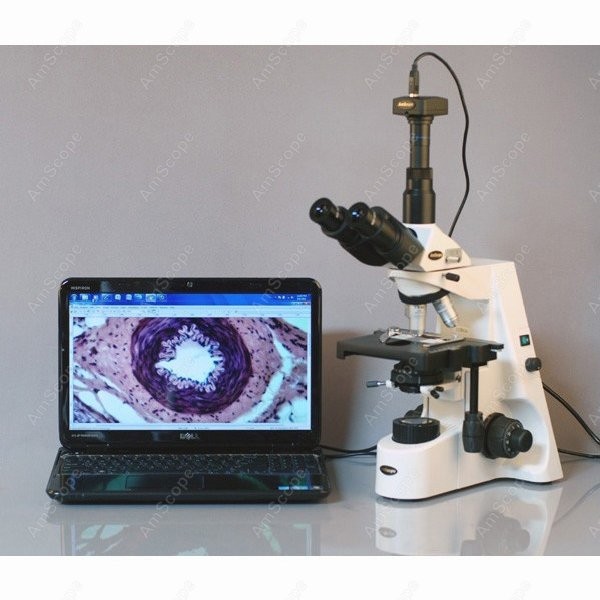 AmScope 40X-2500X Infinity Koh - Microscope Compound 40X 리뷰 및 가격
