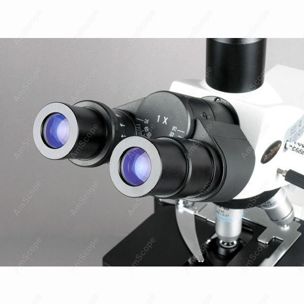 AmScope 40X-2500X Infinity Koh - Microscope Compound 40X 리뷰 및 가격