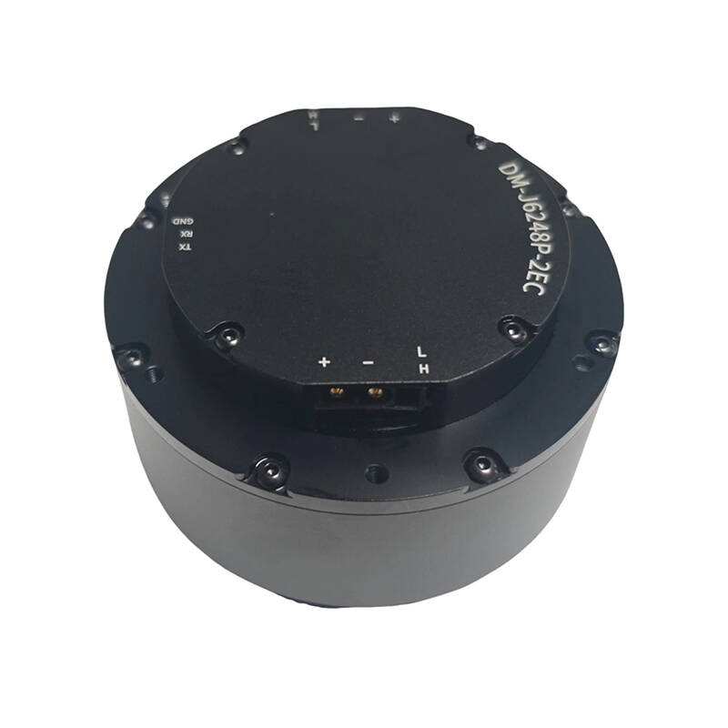 DAMIAO DM-J6248P-2EC Industria - Robot Arm Motor 리뷰 및 가격
