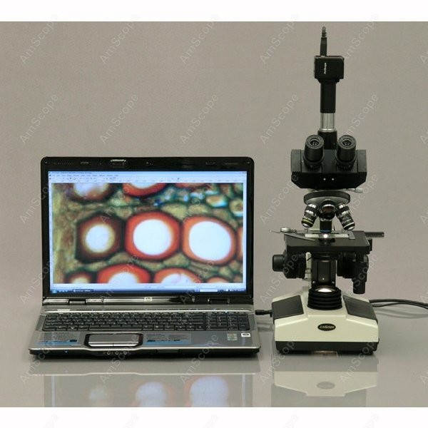 AmScope T390 Series Biological - Microscope Compound 40X 리뷰 및 가격