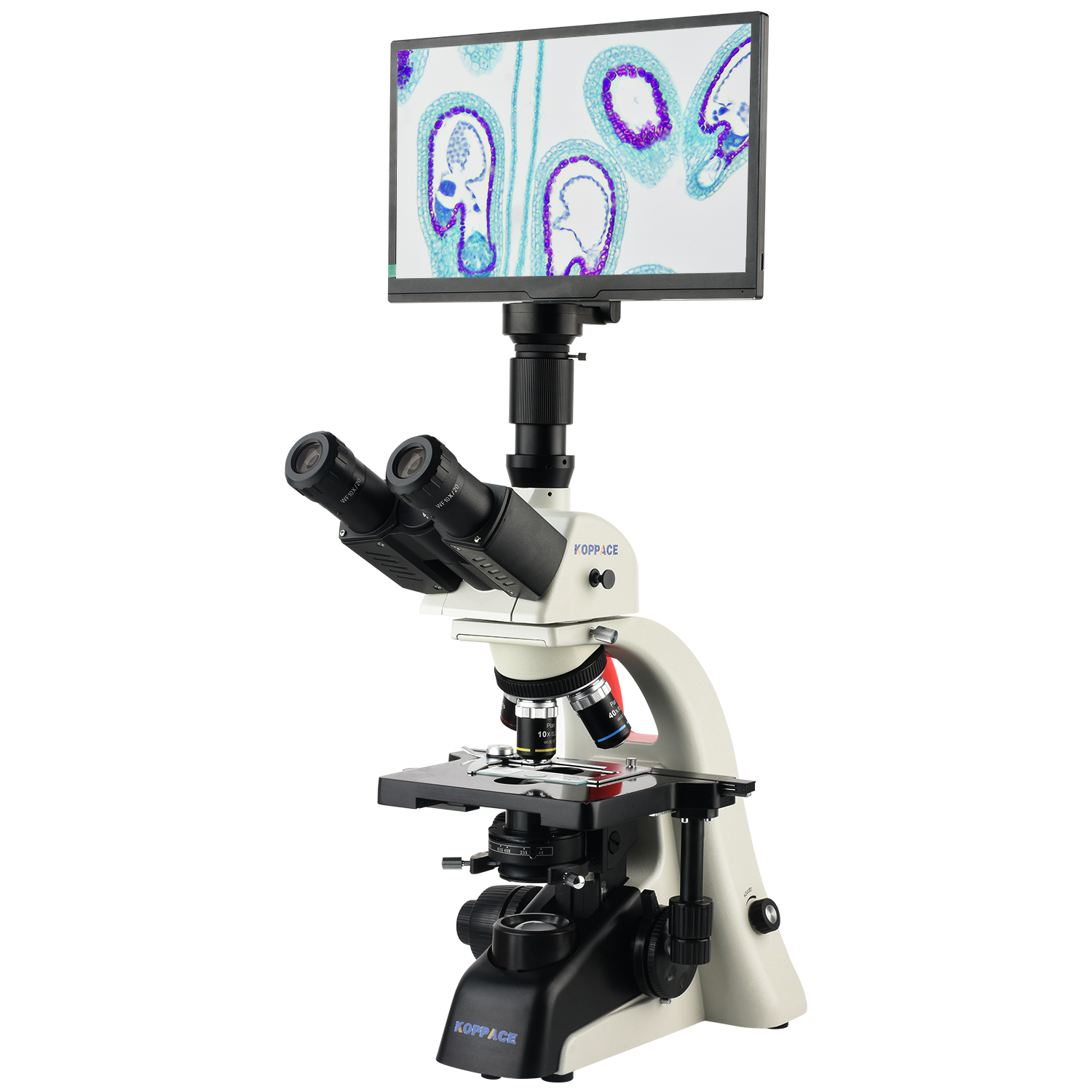 KOPPACE 40X-1600X Electron Com - Microscope Compound 40X 리뷰 및 가격