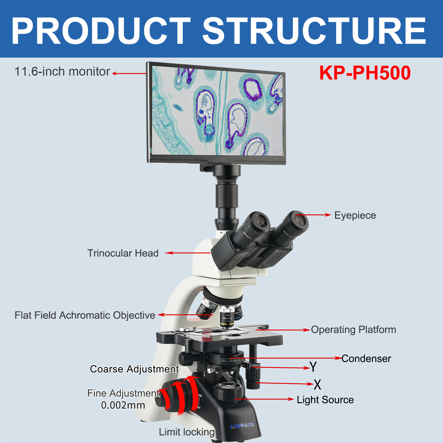KOPPACE 40X-1600X Electron Com - Microscope Compound 40X 리뷰 및 가격