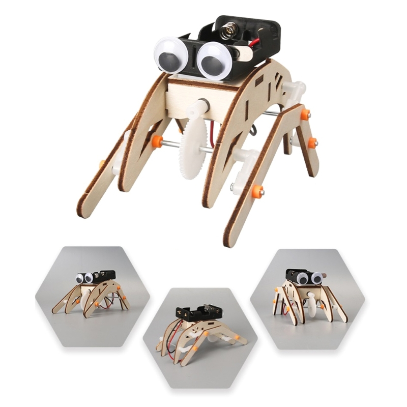  Wooden STEM Building Project  - Science Project Physics 리뷰 및 가격