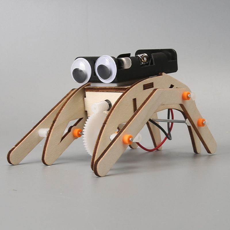  Wooden STEM Building Project  - Science Project Physics 리뷰 및 가격