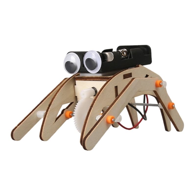  Wooden STEM Building Project  - Science Project Physics 리뷰 및 가격