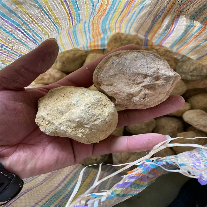 Break Your Own Geodes Natural  - Geode Crystal Break 리뷰 및 가격