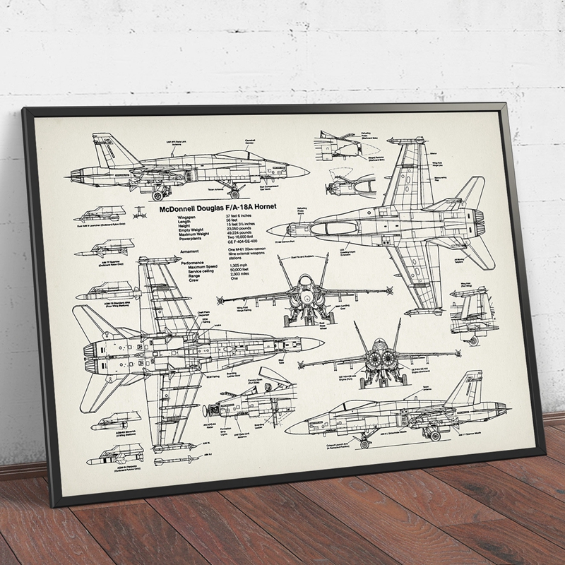 Air Force Plane F18 Hornet Pat - Star Map Poster 리뷰 및 가격