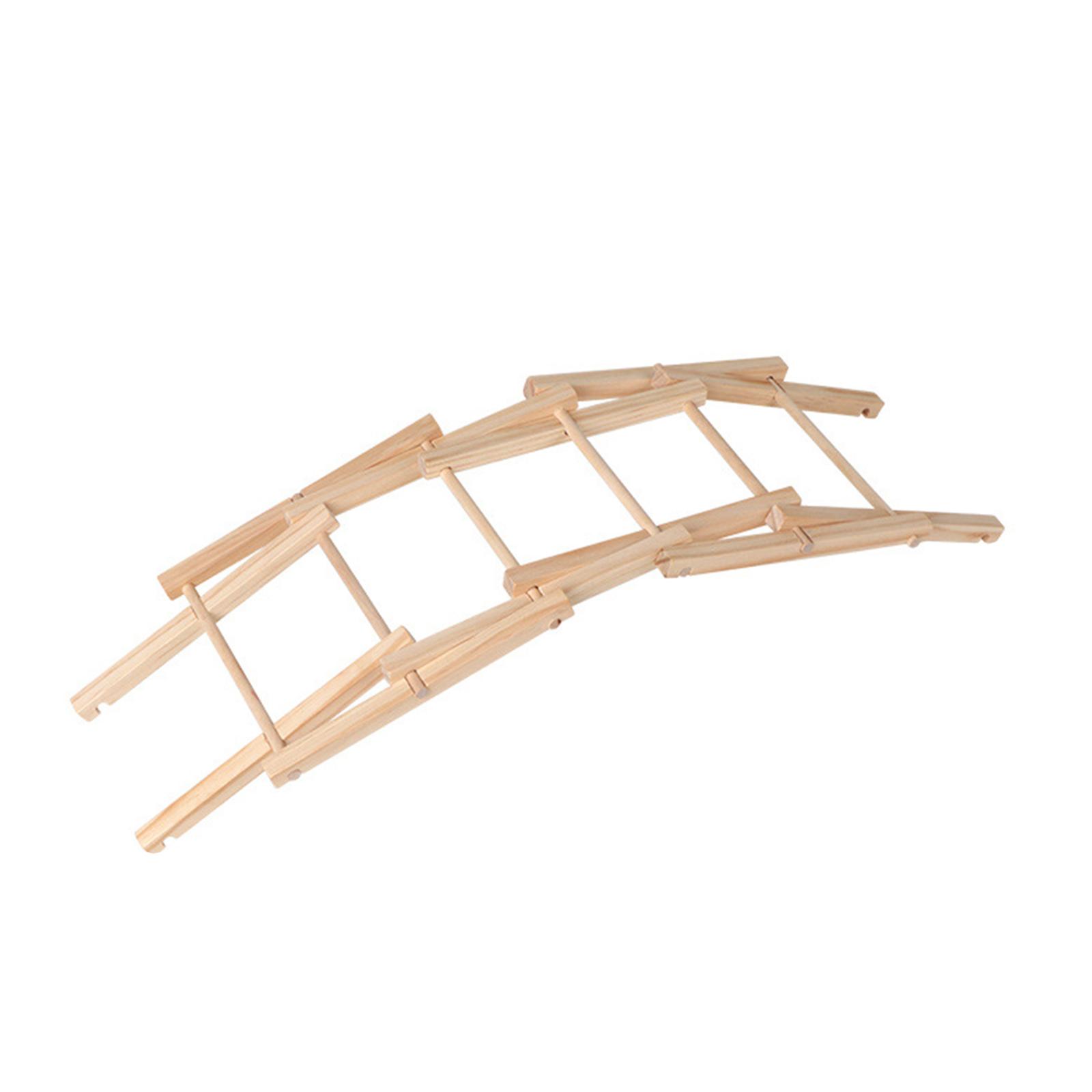 Wood Science Model Bridge (ass - Science Project Physics 리뷰 및 가격