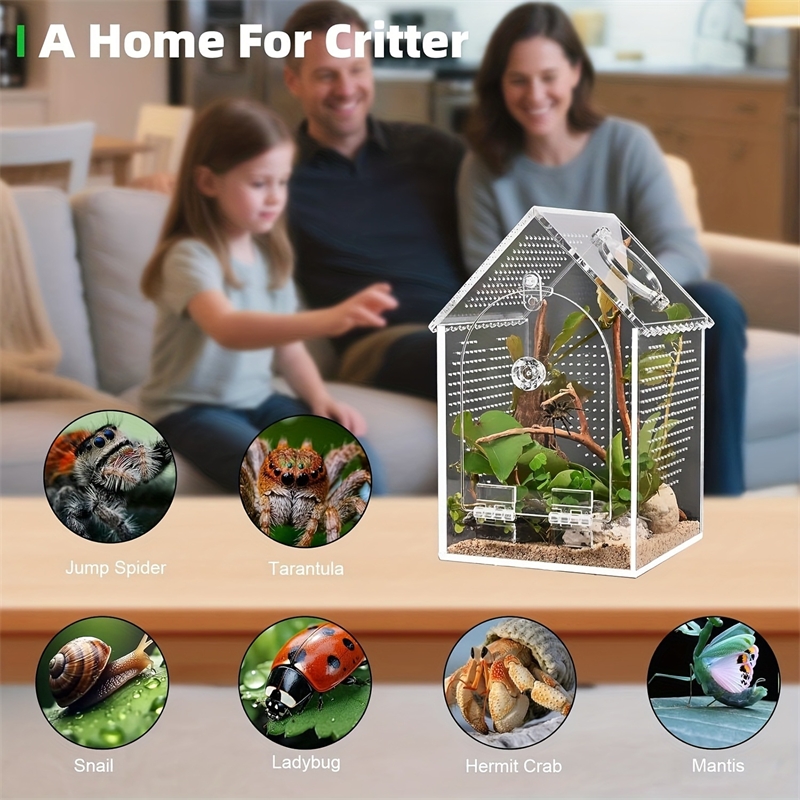 Transparent Acrylic House Inse - Science Hobbyist 리뷰 및 가격