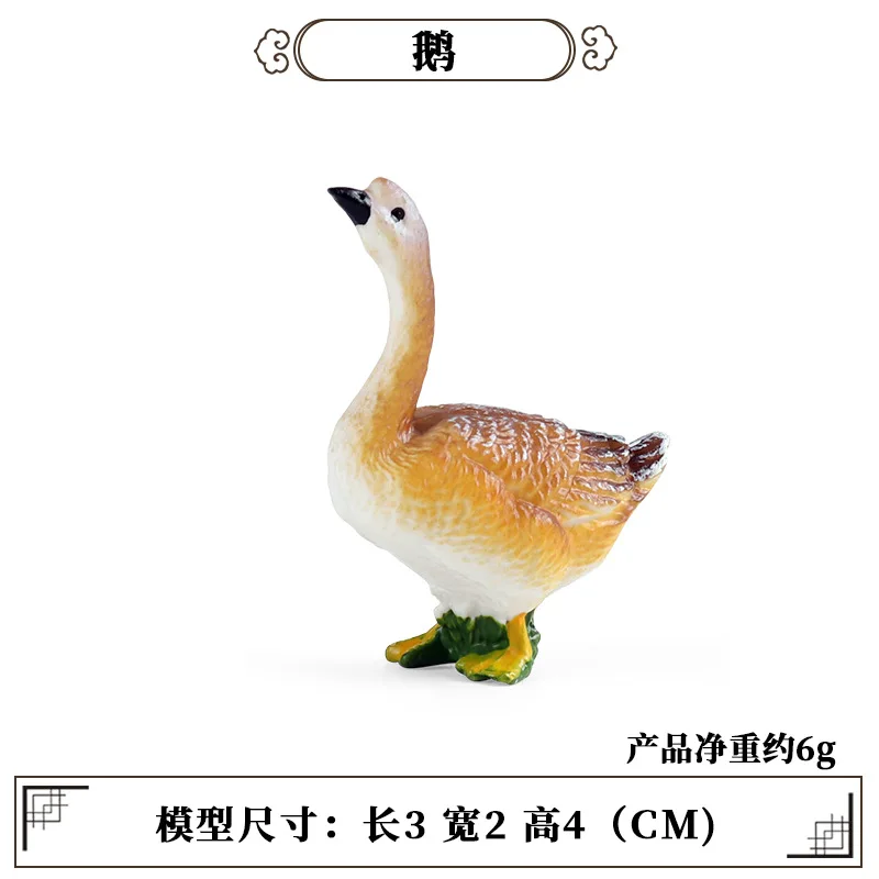 Education Teaching Tool Poultr - Science Toys 리뷰 및 가격
