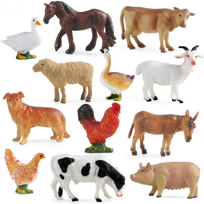 Education Teaching Tool Poultr - Science Toys 리뷰 및 가격