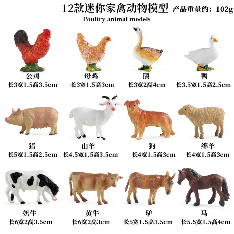 Education Teaching Tool Poultr - Science Toys 리뷰 및 가격